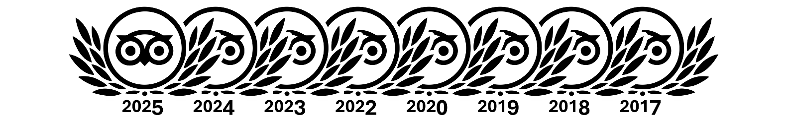 TripAdvisor Traveler's Choice Award